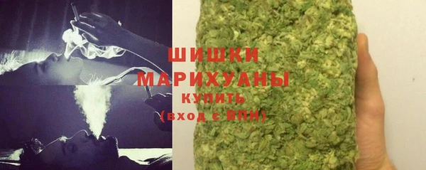 мдпв Лагань