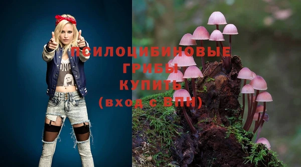 гидра Лабытнанги
