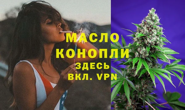 мдпв Лагань