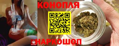 стаф Жуковский
