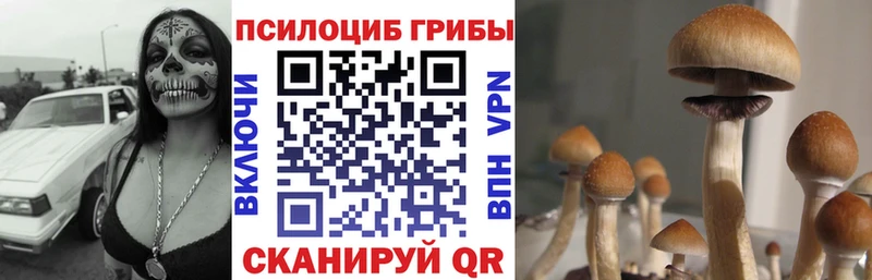 Галлюциногенные грибы MAGIC MUSHROOMS Нижний Новгород