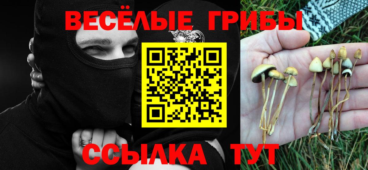 Псилоцибиновые грибы GOLDEN TEACHER  Псилоцибиновые грибы мицелий  Нижний Новгород 