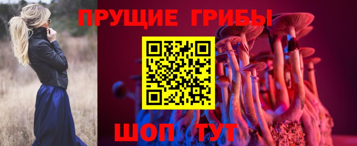 Нижний Новгород  Псилоцибиновые грибы MAGIC MUSHROOMS  Вход с VPN 
