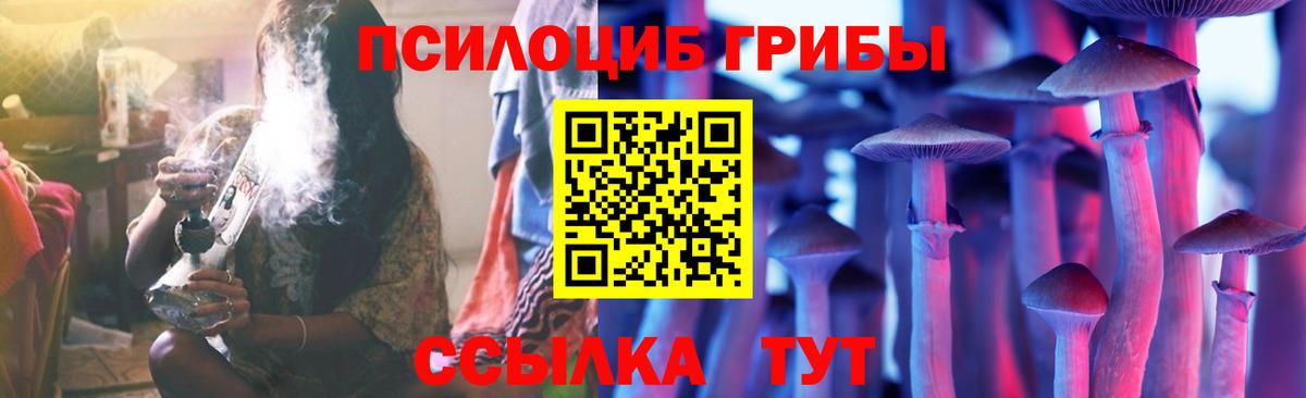 Псилоцибиновые грибы Psilocybe Нижний Новгород